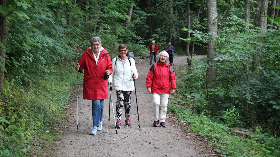 På promenad med samtalsämnen. Gull-Britt Lindström, Gunnel Andersson och Karin Roos var några av de 40-talet seniorer som deltog i Walk and talk.