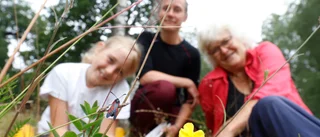 På Stenby äng har allt ett samband