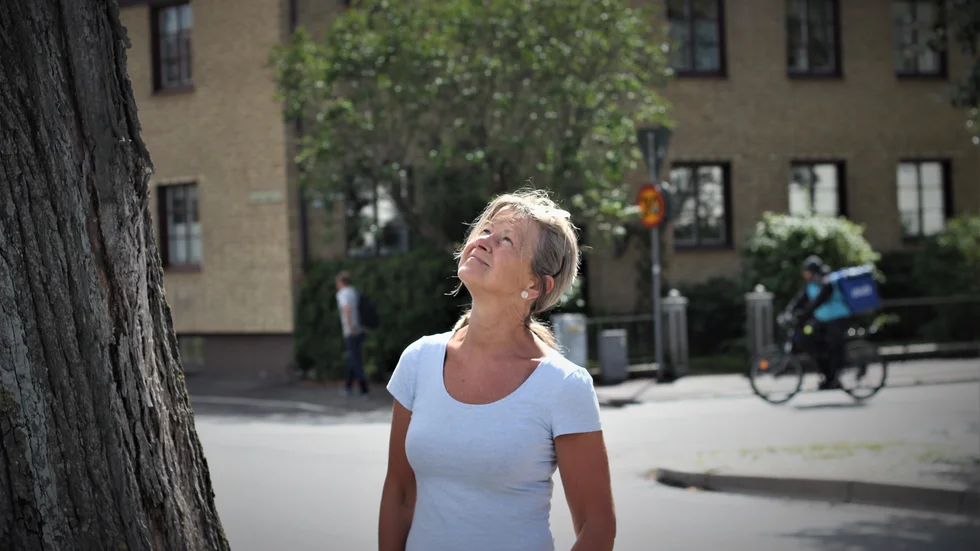 Eva Penttilä jobbar på förskolan vid Hagebygatan och är orolig för att kvistar ska falla ned på fotgängare.