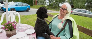 Nestors café i Överstbyn – ett omtyckt utflyktsmål