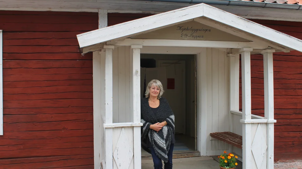 Annika Dahlin har ställt ut sin konst i 20 år i Medevi brunn.