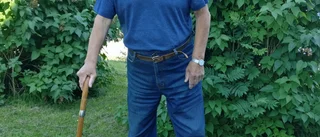 Bruno Löfmark, Skellefteå          