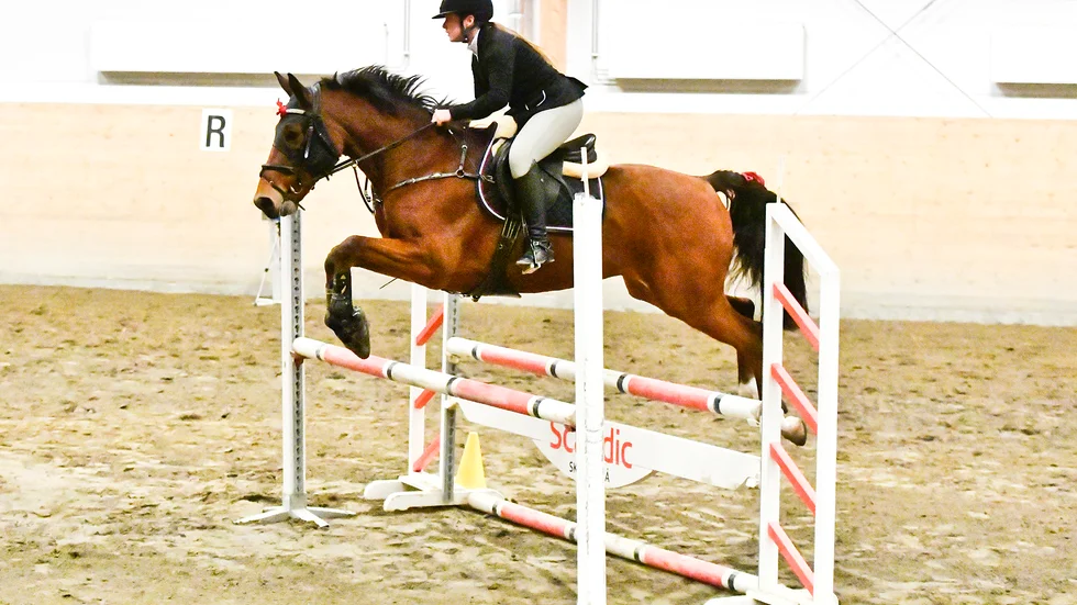 Natalie Fredriksson Johansson och Ultime De Flandre tog storslam då ekipaget segrade i tre klasser på Krafthoppet.