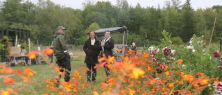 Osprey farm en länk mellan landsbygd och stad – nu prisas Johnny Andersson som landsbygdshjälte