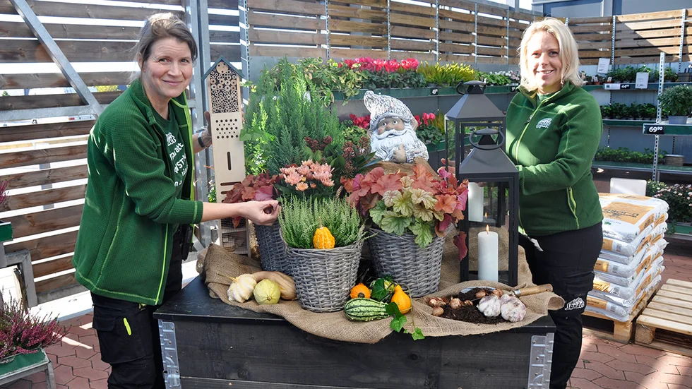 Blickfång som planteringar, ljuslyktor och naturmaterial bidrar till en höstmysig känsla utomhus, tipsar Ulrika Jancke (t v) och Annika Årstam (t h), båda växtansvariga på Blomsterlandet i Uppsala. 