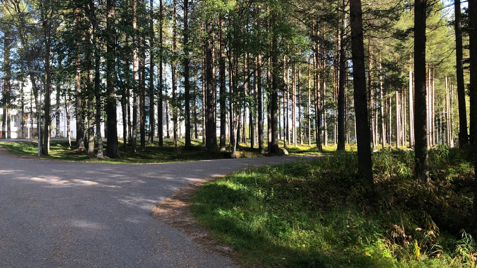 Händelsen inträffade på måndagseftermiddagen när flickan skulle cykla till en kompis. När hon var 2–3 meter framför mannen drog han fram sitt könsorgan. (Arkivbild)