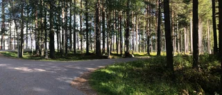 Misstänkt blottare misstänks även för stöld
