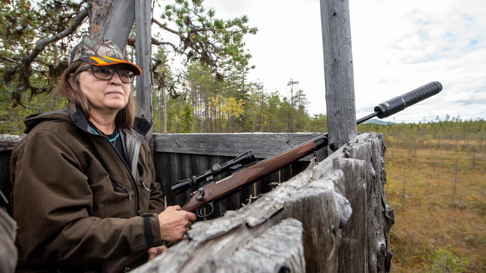 "Vi har skjutit älg men inte kommit upp i avskjutningsmålet och det tror jag heller inte att vi kommer att göra", säger Kristina Gustafsson i Älvsbyn om den dåliga älgtillgången.