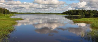 Läsarbilden: Björkskatafjärden