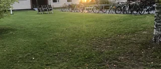 Den milda höstens ansikten                    