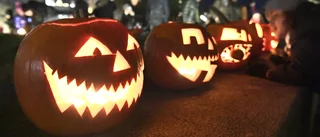 LISTA: Norran guidar dig genom halloweenhelgen • Nattklubb • Fest • Läskiga monster • Missa inte helgens halloweenvimmel