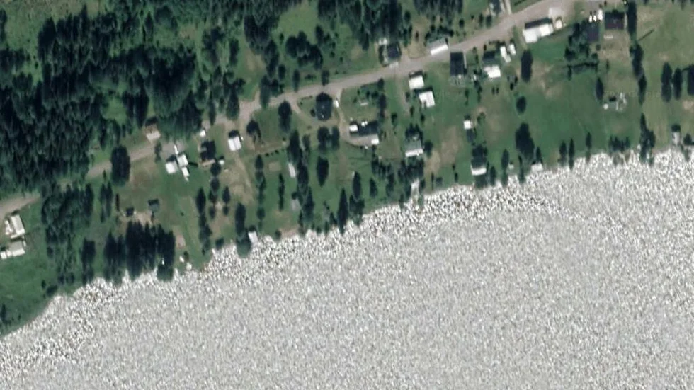 Området kring Järvträsk 45