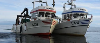 Fiskarna besvikna över löjromskvoten    