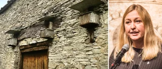 Så mycket tappade Gotlands Museum - "Ingen konkurs"