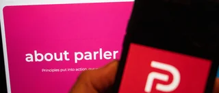 Parler delvis uppe igen med rysk hjälp