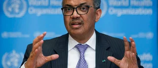 Klart för utredning om virusets ursprung