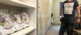 Varför vänta med bättre företagsklimat?