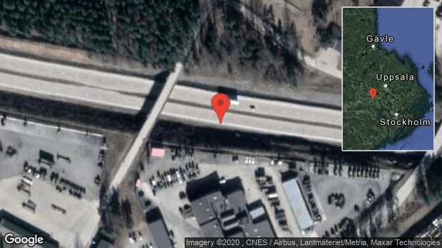 Rådjur på vägen på E18