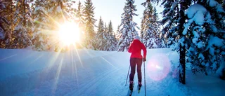 Förstör inte Grisbergets fina skidspår!