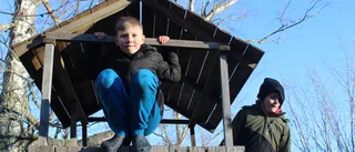 Barnfamiljen: "Jag har aldrig ätit så mycket grillad korv som i år"