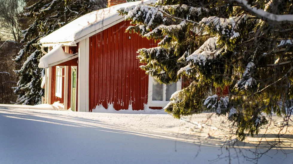 En kylig vinterdag på Norra Pitholm och en liten stuga i solsken.