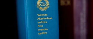 Rättstavning och särskrivning – ett problem hos EK?