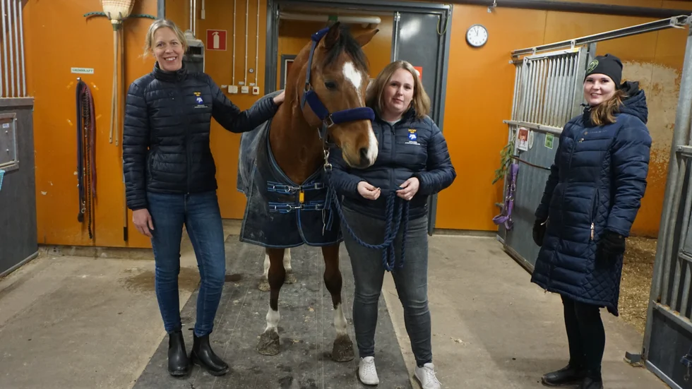 Malin Aldal, Johanna Blom och Alexandra Eriksson, här tillsammans med ponnyn Maximinus, tycker att det är roligt att fler vill börja rida,