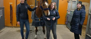 Intresset för ridsport växer i pandemitider