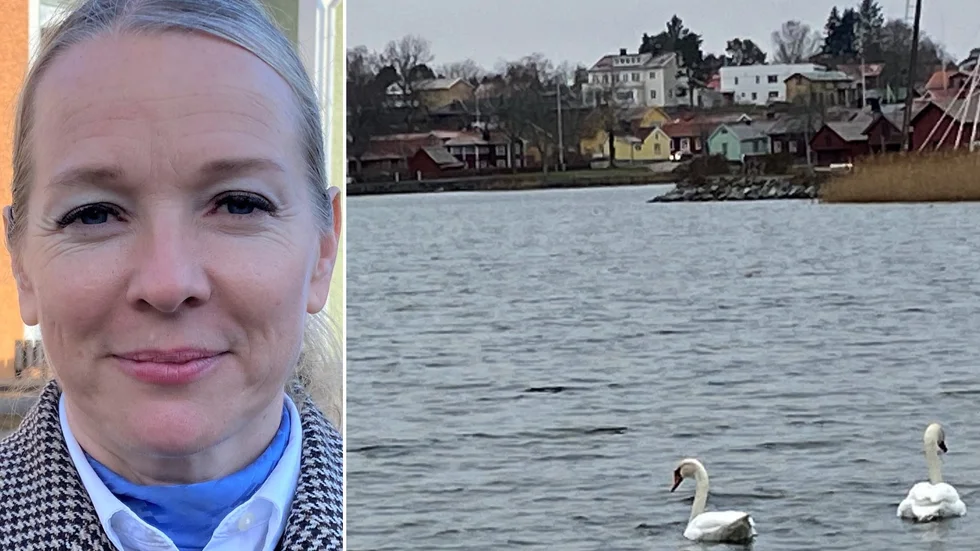 Tre dagar med fokus på fjärdarna väntar. Först fredagens debatt med inbjudna experter. 
"Sen på lördag städas stränderna, och på söndag blir det aktiviteter på vattnet i samarbete med Sjöscouterna, Östhammars Segelsällskap och Allmogebåtar", berättar Diana Janse.
