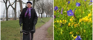 Hon har ett blommigt förslag: "Det är marken jag vill förändra"