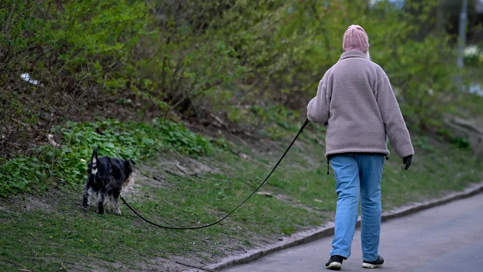 Det är härligt att ta en hundpromenad vid Eskadern, tycker skribenten.