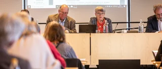 Vissa partier är bara emot - andra vill ingenting alls