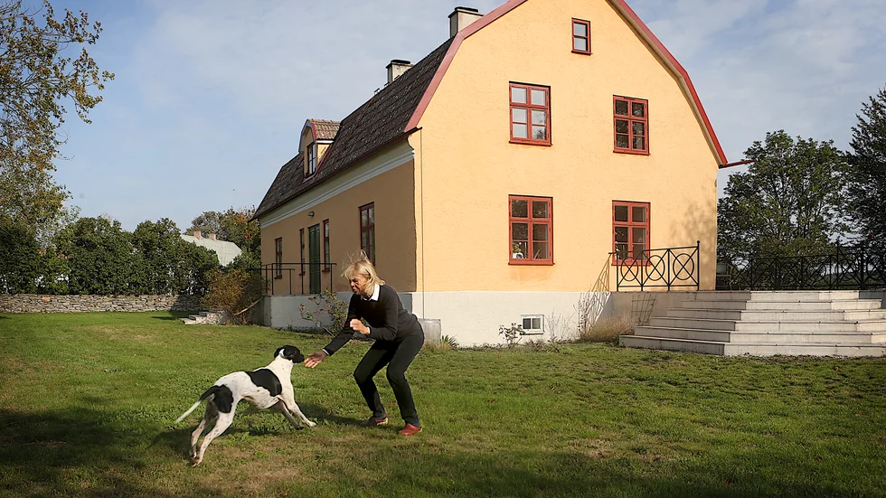 Om huset vid Rembs blivit en plats för Marianne Hamilton att vila, så är det en oas för pointern Gioia som älskar att röra på sig.