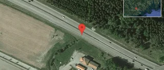 Älg på vägen på E4