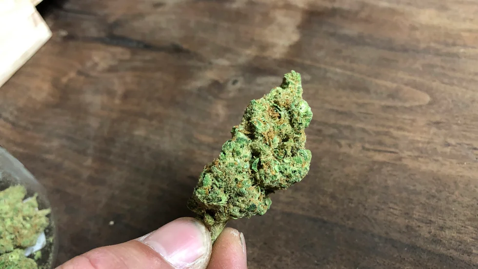 I lägenheten hittades över ett halvt kilo cannabis. 