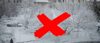 Vädret i mellandagarna: Mulet, milt och mörkt