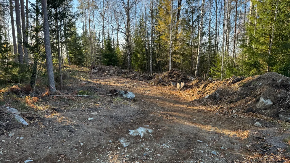 Striden kring de fällda träden i Ryssbo, söder om Enköping, hamnar nu på länsstyrelsens bord.