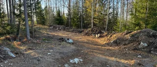 Striden om de fällda träden i Ryssbo går vidare