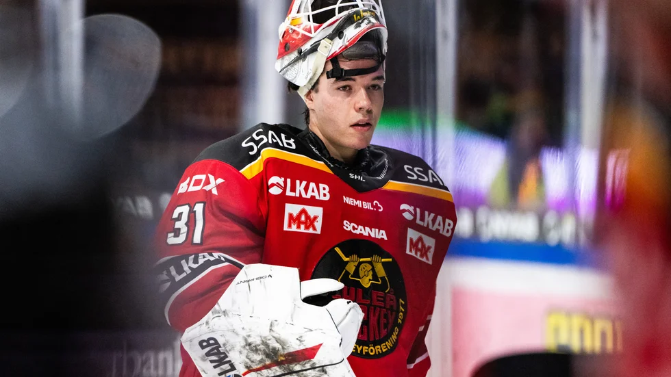 Matteus Ward blir kvar i Luleå Hockey.