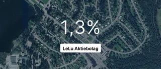 LeLu Aktiebolag: Redovisningen klar – så gick det för företaget