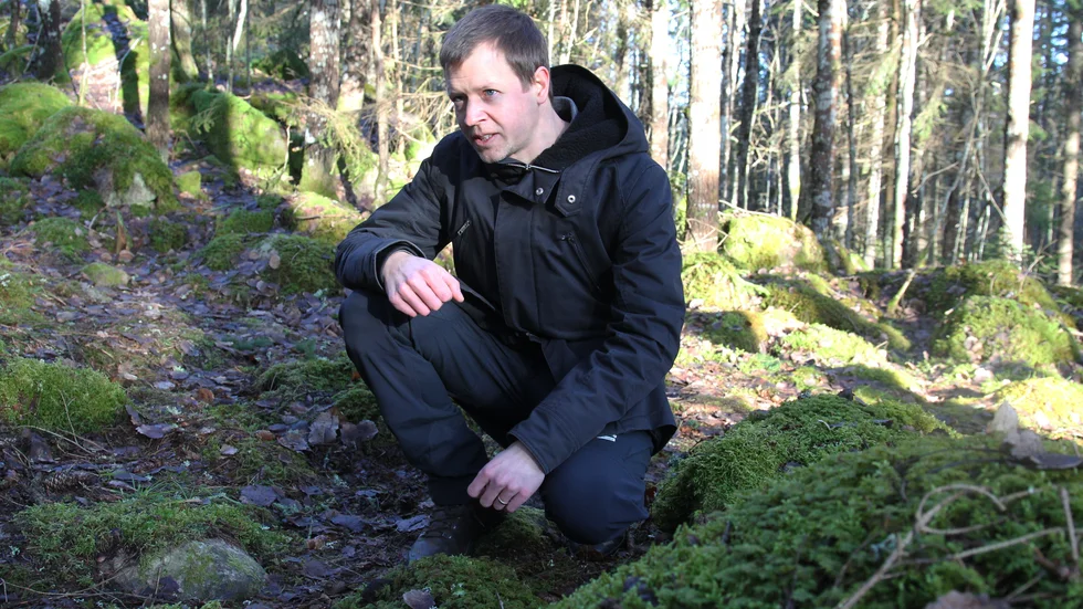 Thomas Weissenberg är skogsförvaltare på Linköpings kommun. Det var han som hittade de första bombmurklorna i Linköping på fem år.