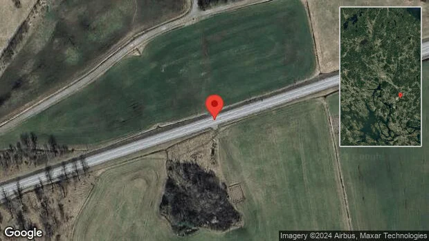 Stopp på väg 273 på grund av en viltolycka
