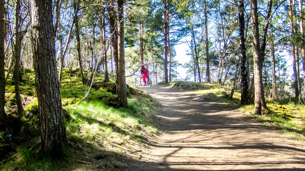 Mannen försökte få barnet in i bilen. Genrebild.
