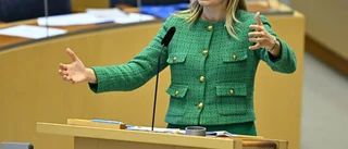 Busch: Lägre elräkning i vinter