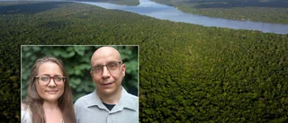 Svenska kor kan inte ersätta Amazonas regnskog