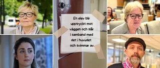 SD-politikern: Starta en akutskola i Norrköping