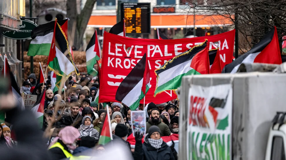 Problem. Det har flera gånger framkommit att terrororganisationer som Hamas och Hizbollah hyllats under propalestinska demonstrationer. 