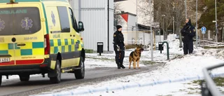 Knivhuggna läraren: Sade åt eleven att springa