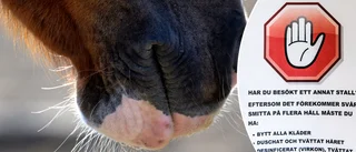 Stall isolerat – livsfarlig hästsjukdom: "Ingen förklaring"