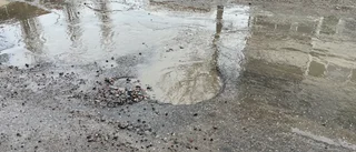 Pollen och potthål kan vara viktigare än Putin